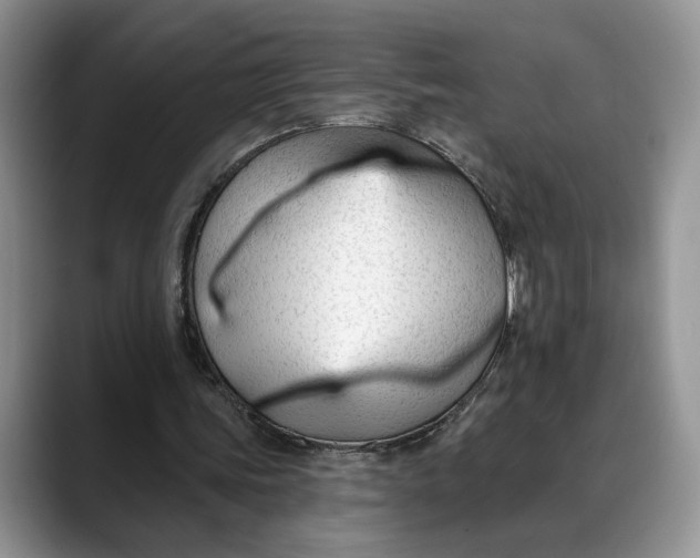 X0000088410339200706121418