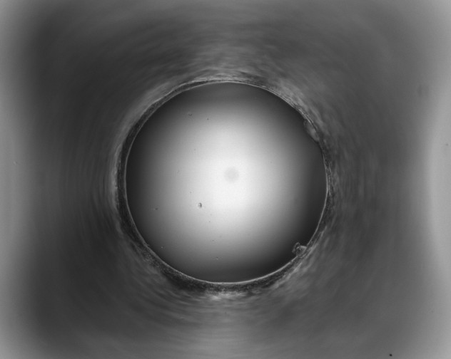 X0000088410340200706121418