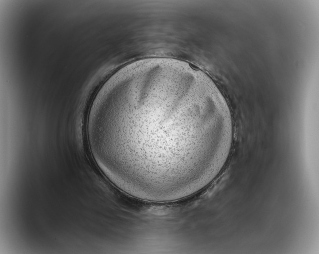 X0000088410341200706121418