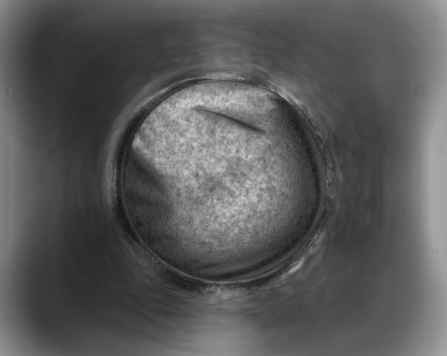 X0000088410343200706121418