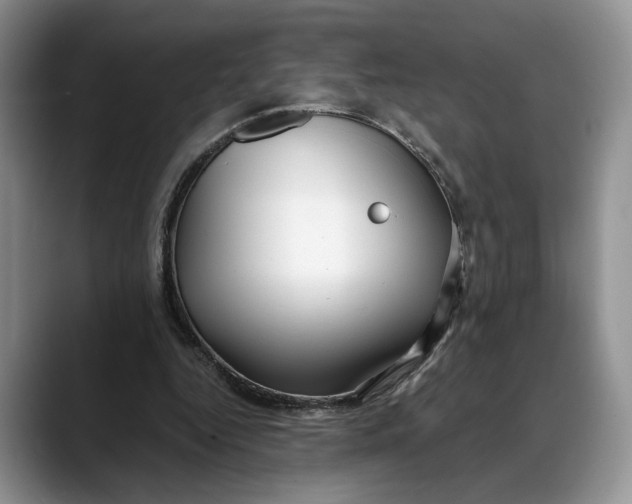 X0000088410344200706121418