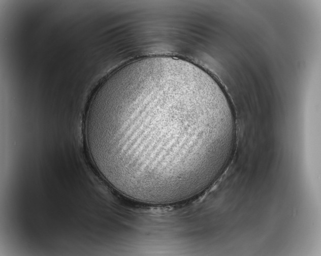 X0000088410345200706121418