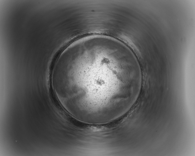 X0000088410346200706121418