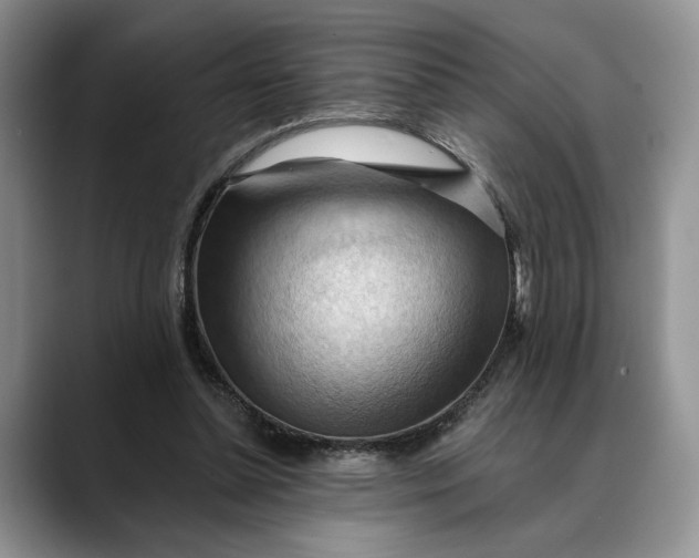 X0000088410348200706121418