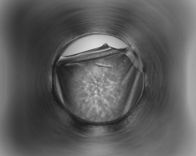 X0000088410349200706121418