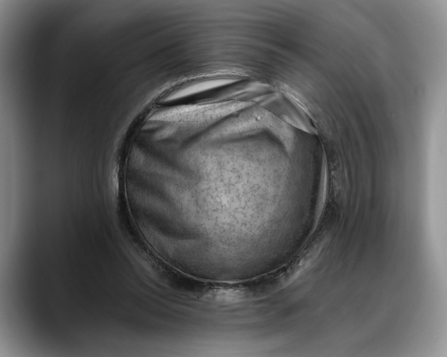 X0000088410350200706121418