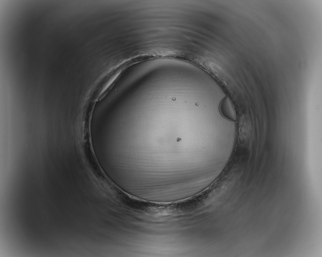 X0000088410351200706121418