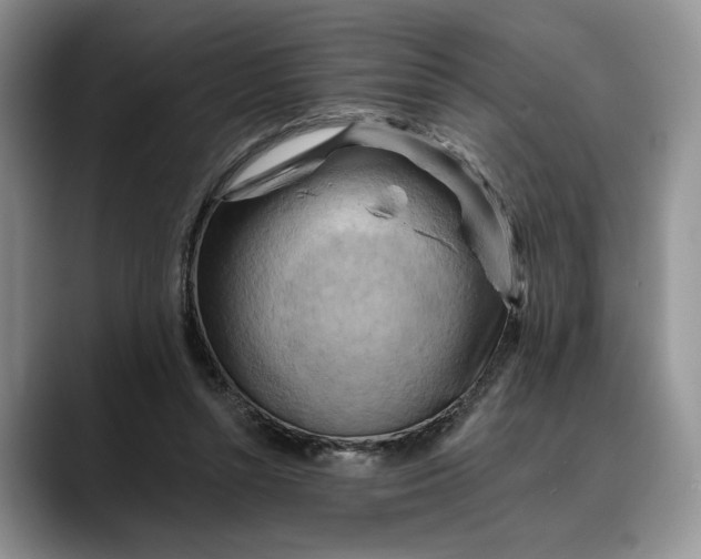 X0000088410352200706121418