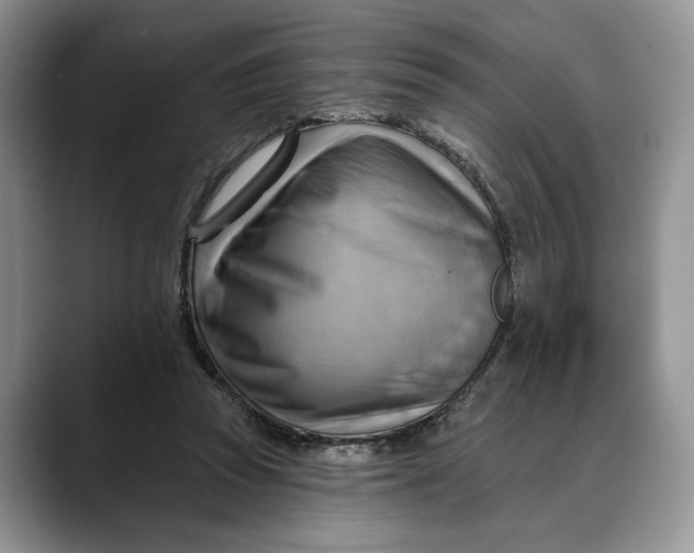 X0000088410353200706121418