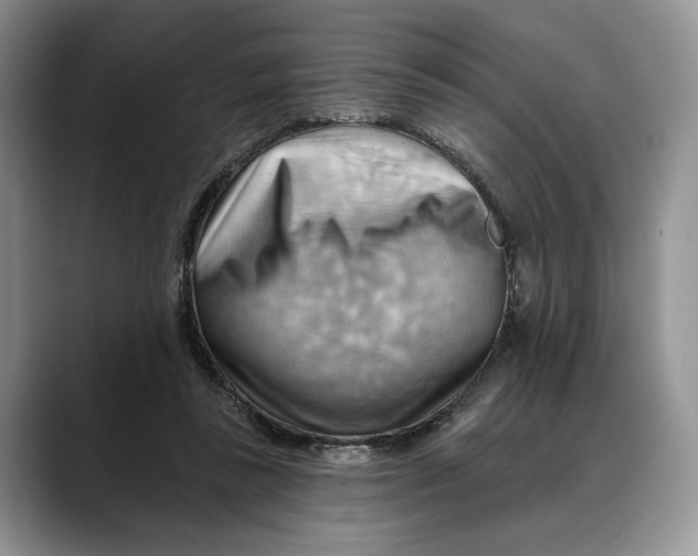 X0000088410355200706121418