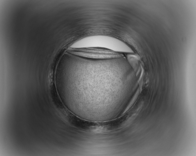 X0000088410356200706121418