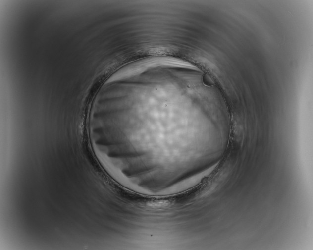 X0000088410357200706121418