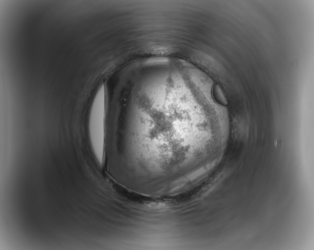 X0000088410358200706121418