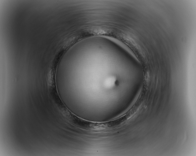 X0000088410359200706121419