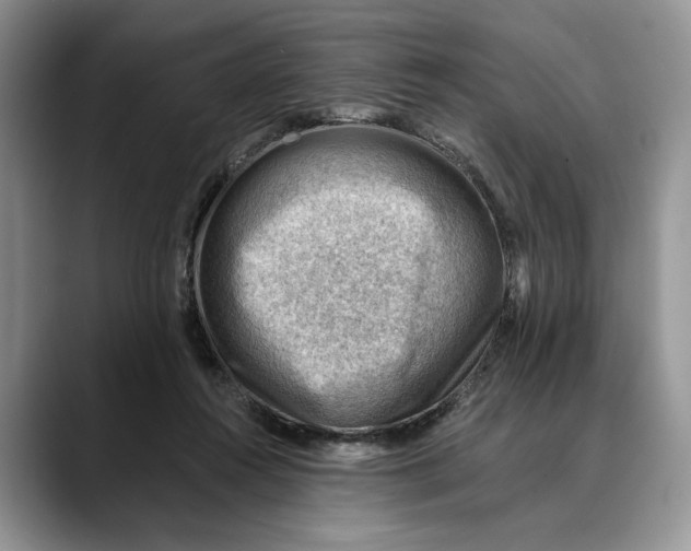 X0000088410360200706121419