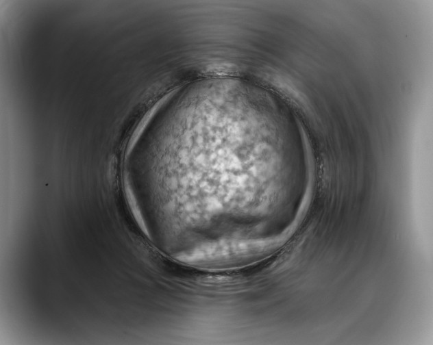 X0000088410361200706121419