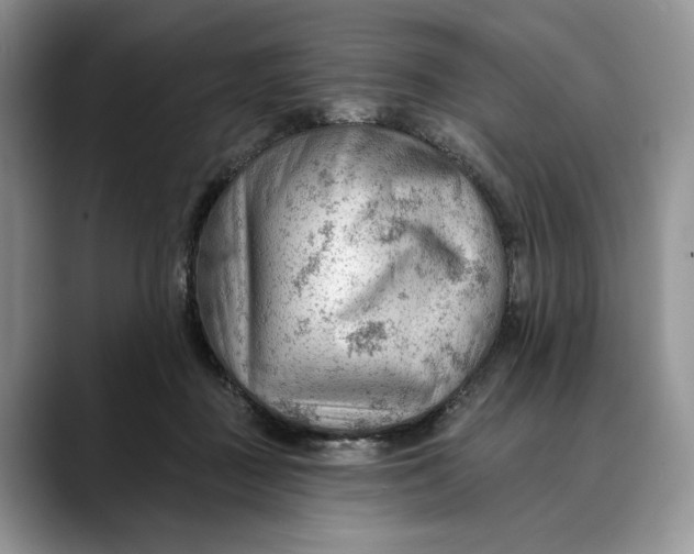 X0000088410363200706121419