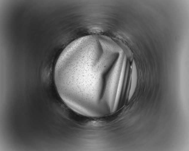 X0000088410364200706121419