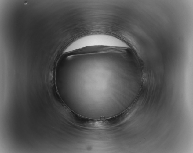 X0000088410365200706121419