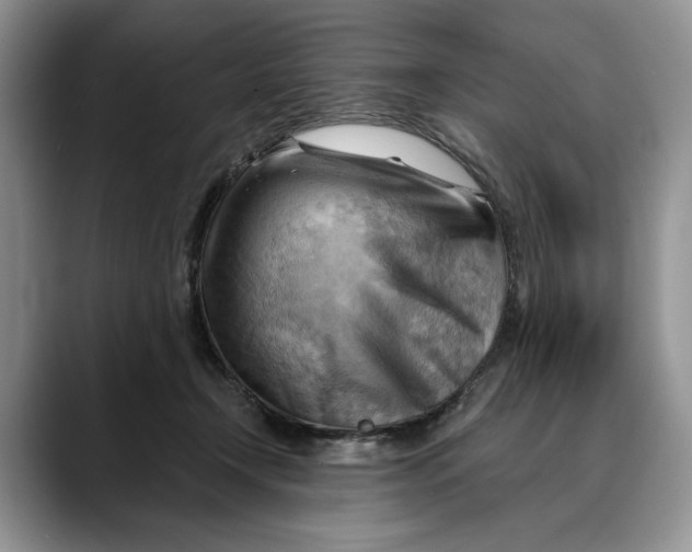 X0000088410366200706121419