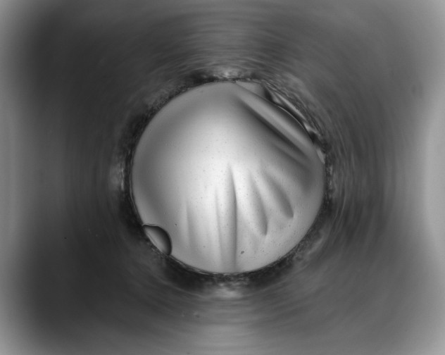 X0000088410368200706121419