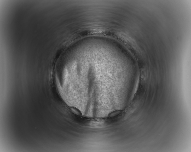 X0000088410369200706121419