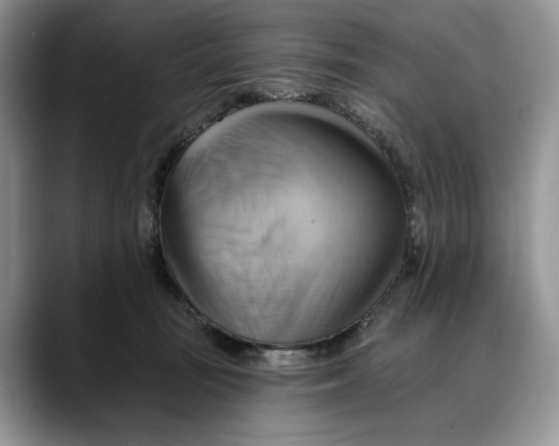 X0000088410371200706121419