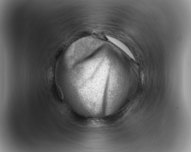 X0000088410372200706121419