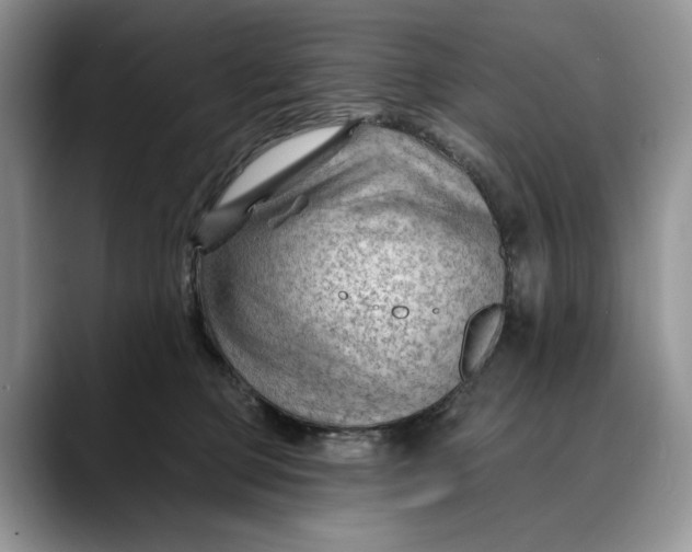 X0000088410373200706121419