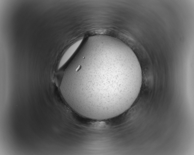 X0000088410374200706121419