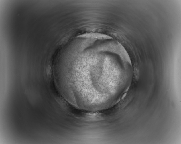 X0000088410375200706121419