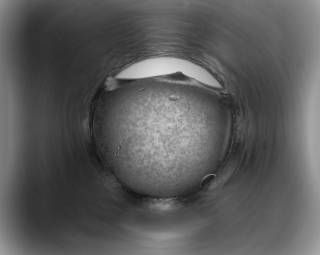 X0000088410377200706121419