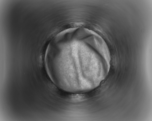 X0000088410378200706121419