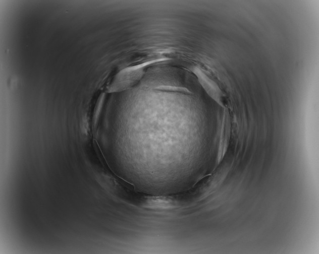 X0000088410380200706121419