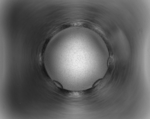 X0000088410381200706121419