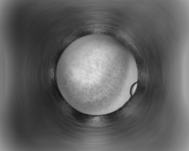 X0000088410382200706121419