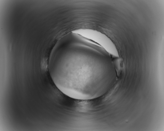 X0000088410383200706121419