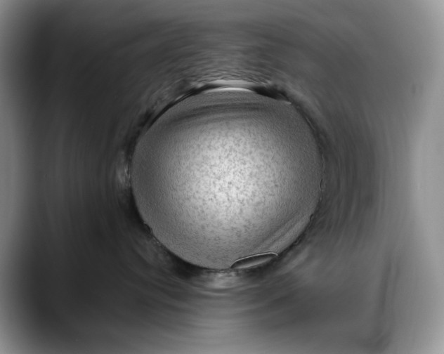 X0000088410384200706121419