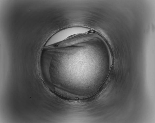 X0000088410385200706121418