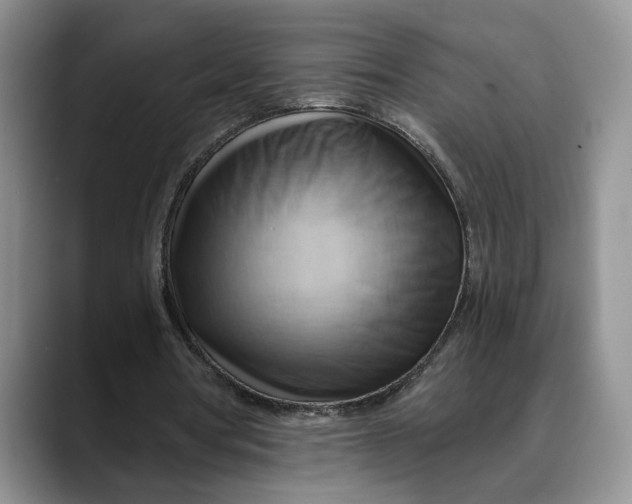 X0000088410386200706121418