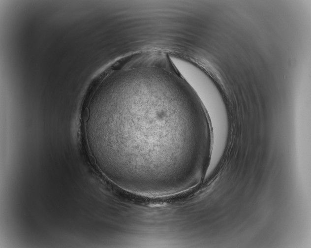 X0000088410388200706121418