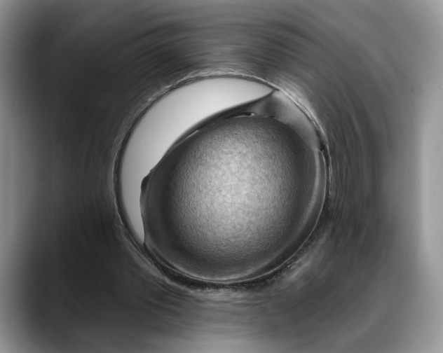 X0000088410389200706121418