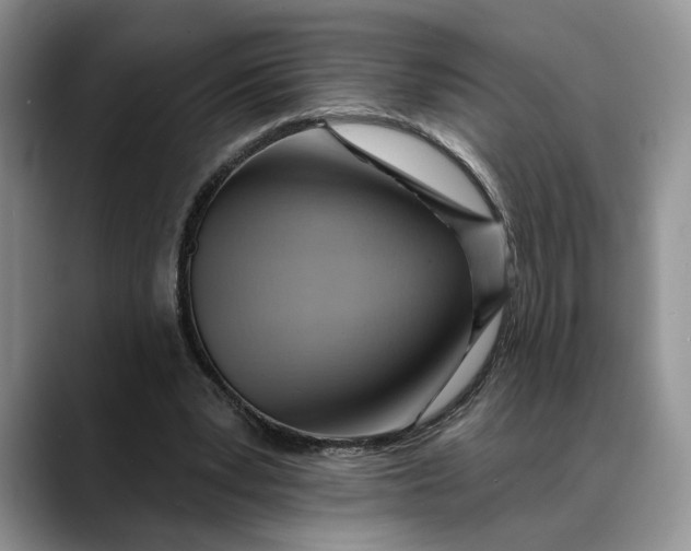 X0000088410391200706121418