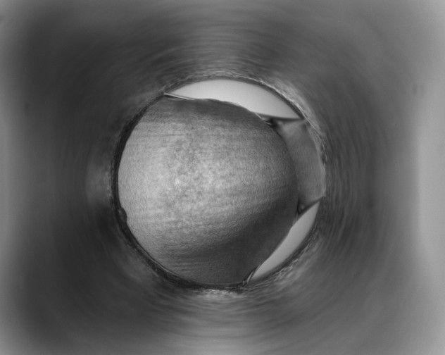 X0000088410393200706121418