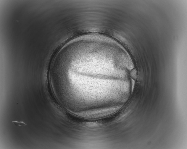 X0000088410394200706121418