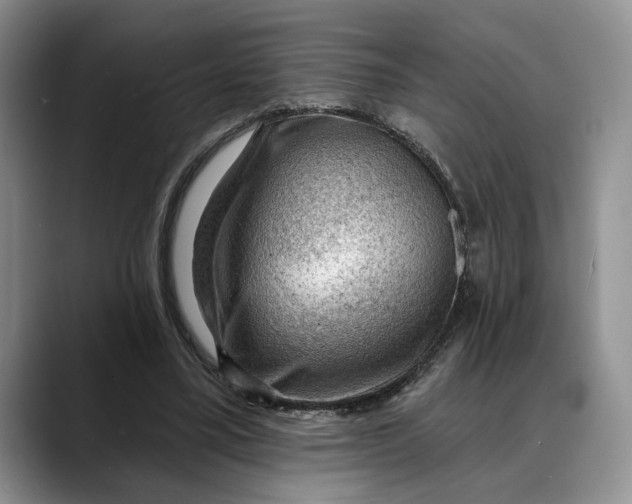 X0000088410395200706121418