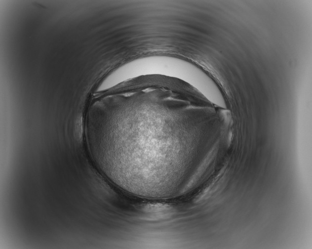 X0000088410397200706121418