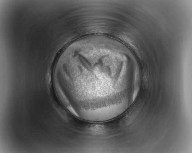 X0000088410398200706121418