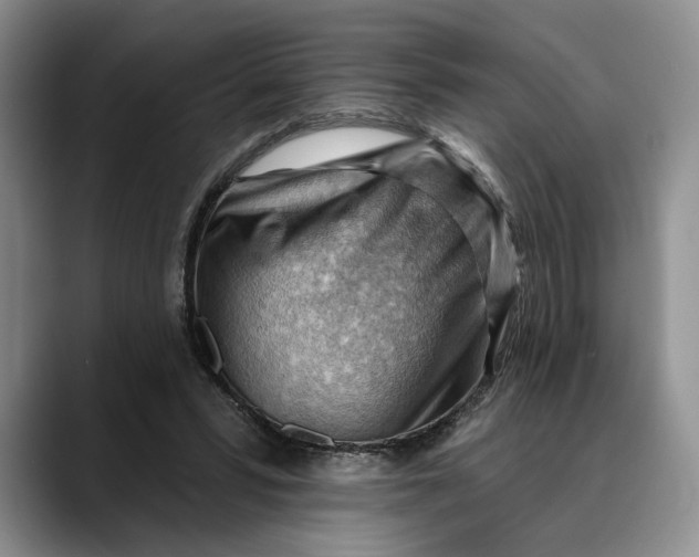 X0000088410399200706121418