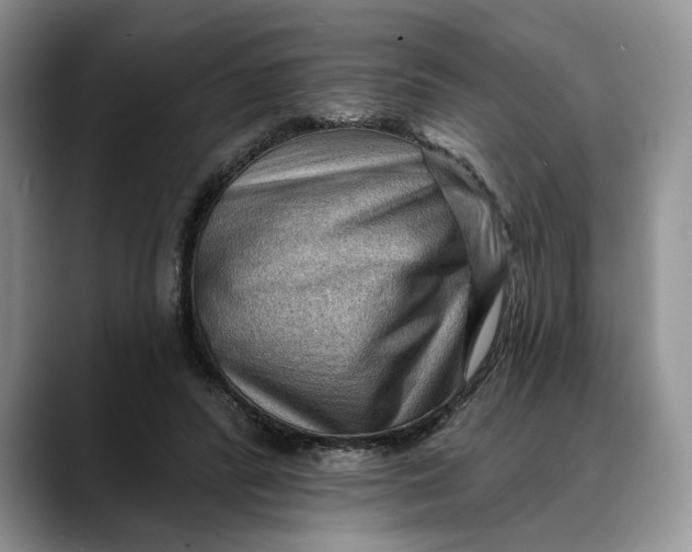 X0000088410400200706121418